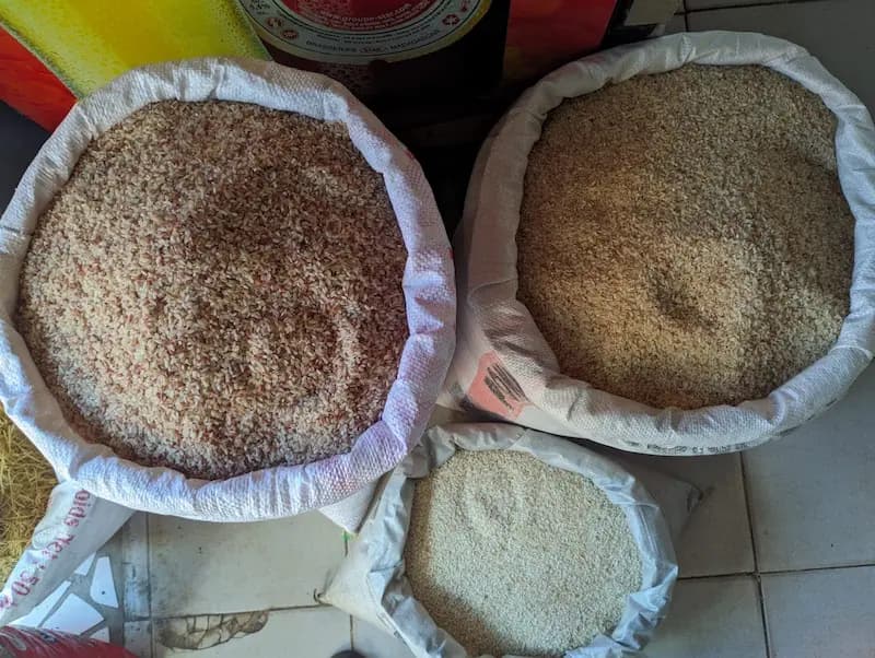 Riz & Céréales de Qualité